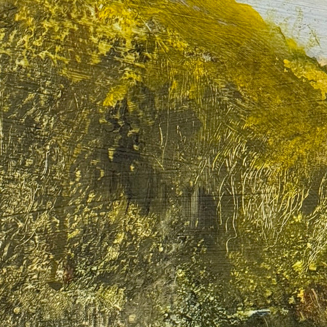 Where the Thicket Breaks